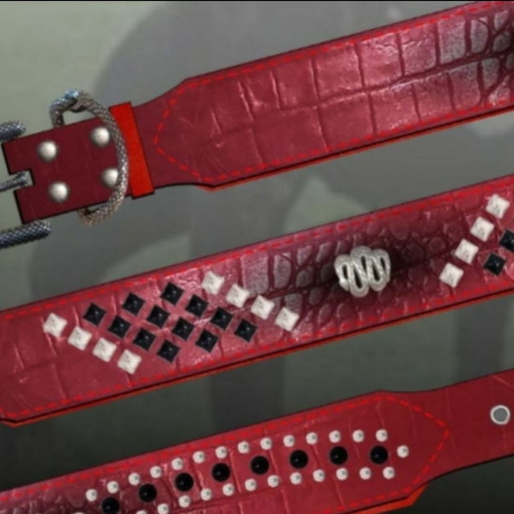 Custom Pet Collars